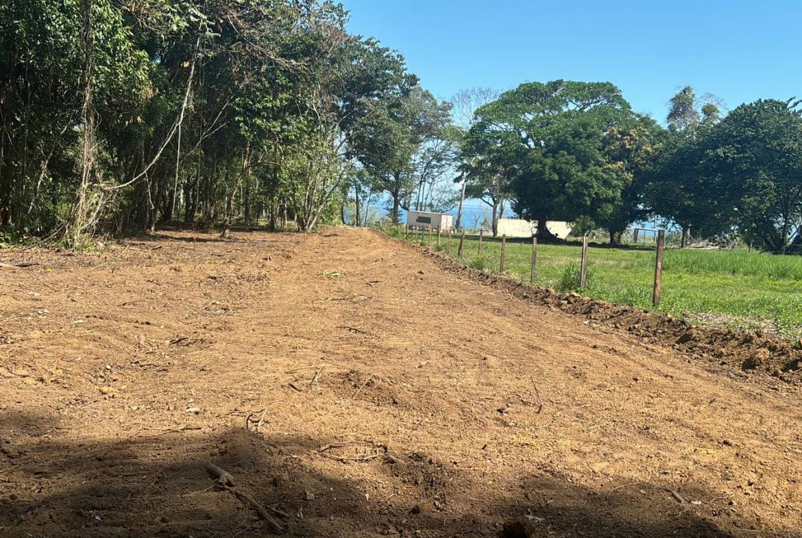 Development Opportunity in Costa Rica
