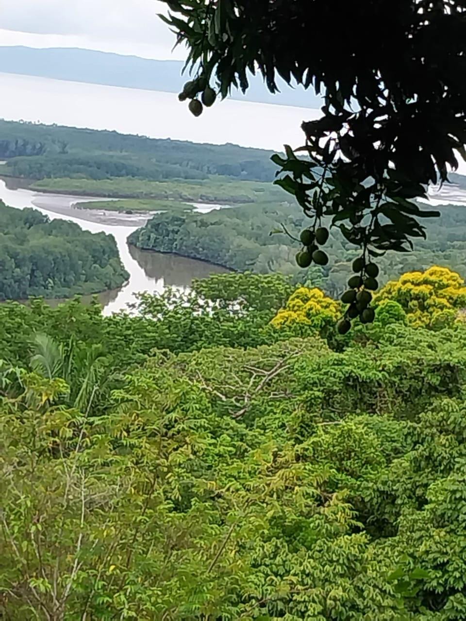 Development Opportunity in Golfito