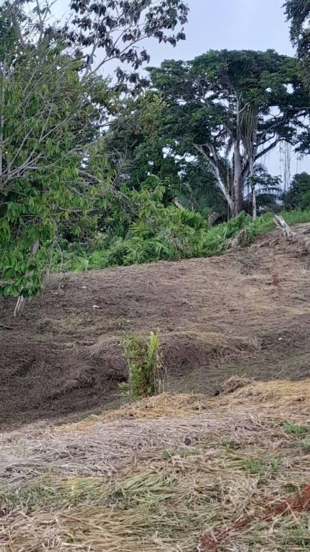 Development Opportunity in Golfito