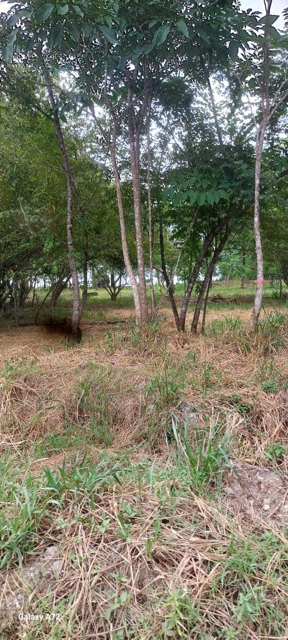 Beachfront Development Opportunity in Pavones