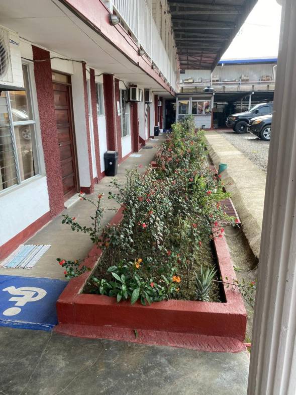 Property for sale in Golfito