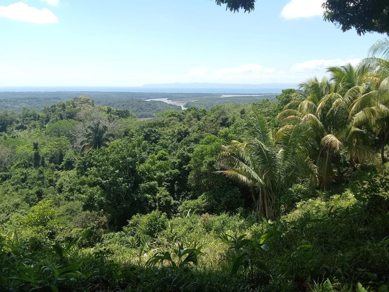 Development Opportunity in Golfito