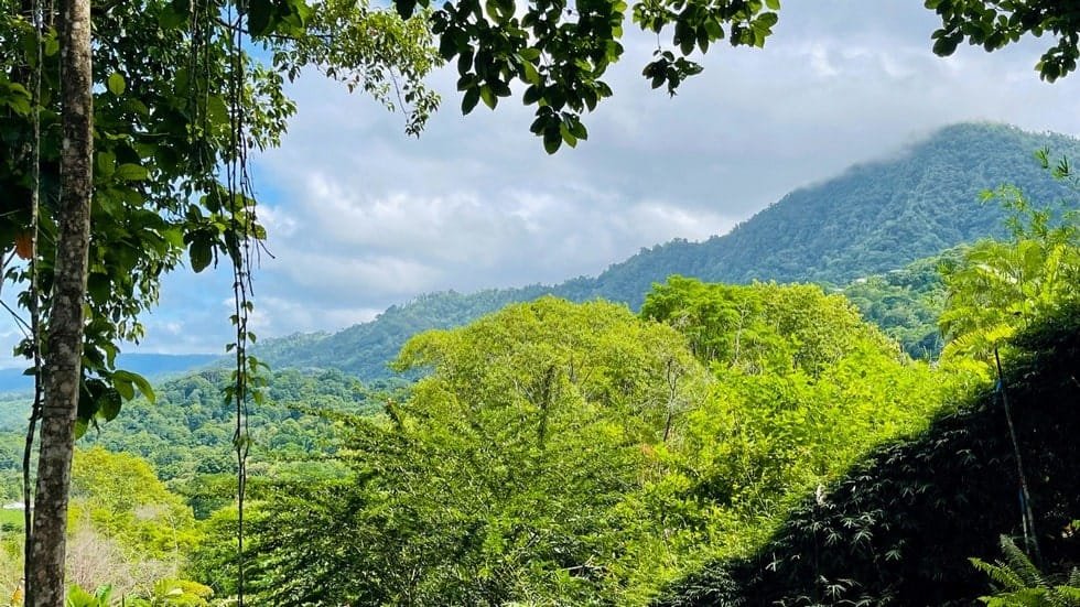 Bahia Ballena Under 250k