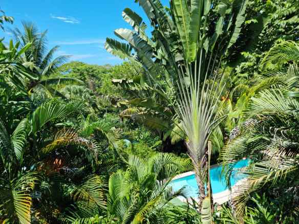 Studio for sale in Malpais