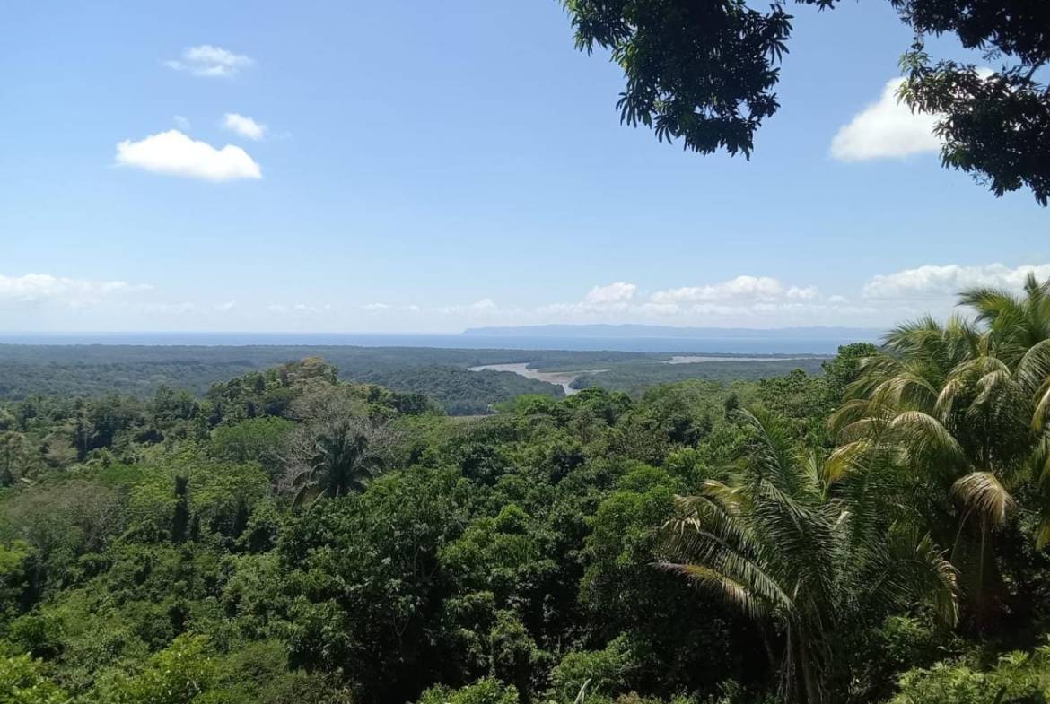 Development Opportunity in Golfito