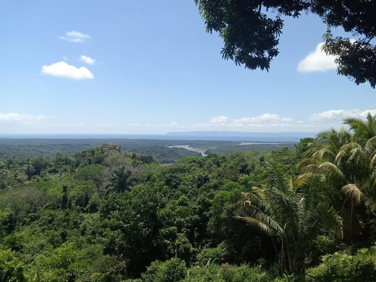 Development Opportunity in Golfito