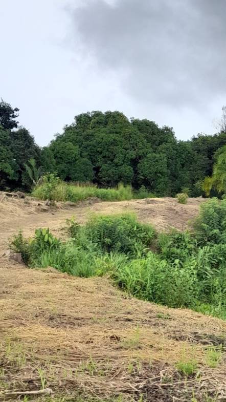 Development Opportunity in Golfito