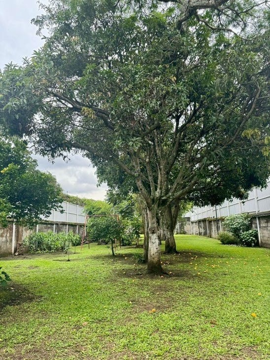 Property in San Jose, Costa Rica