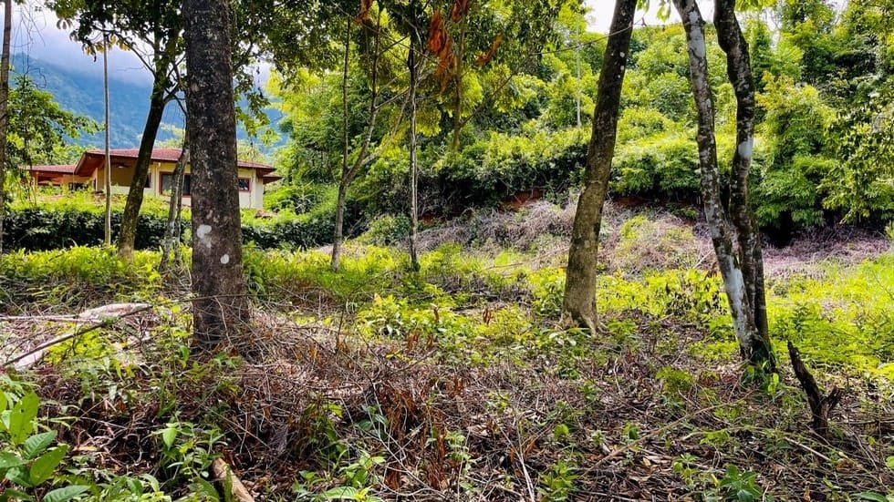 Bahia Ballena Under 250k