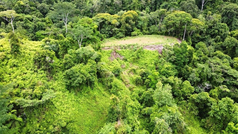 Ocean View property in Ojochal