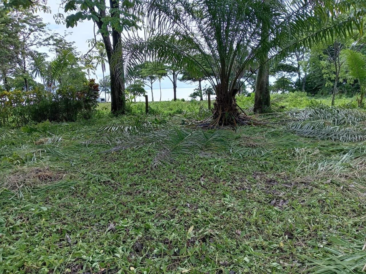 Beachfront Development Opportunity in Pavones