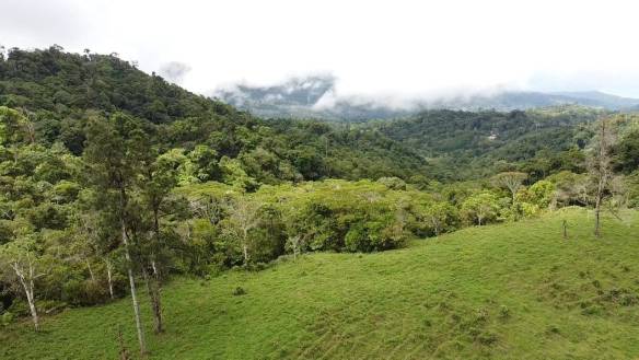 Land in Perez Zeledon