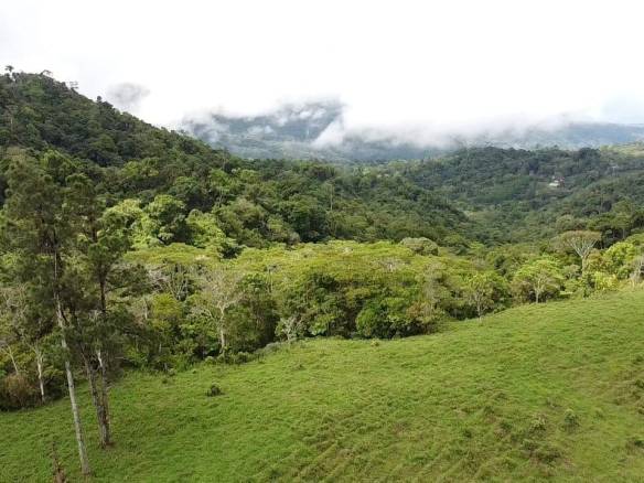 Land in Perez Zeledon