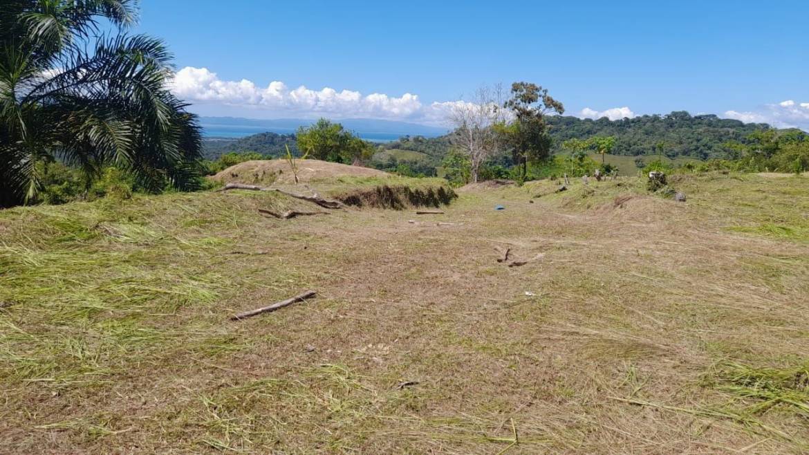 Development Opportunity in Golfito