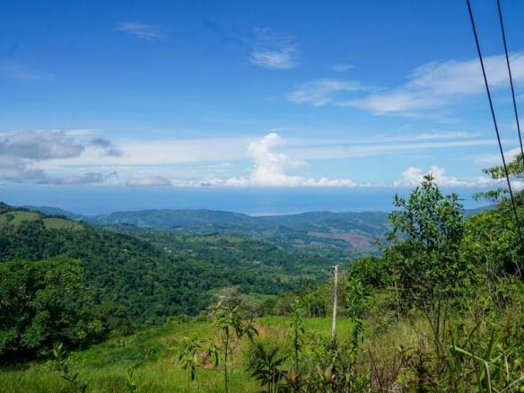 Land in Perez Zeledon