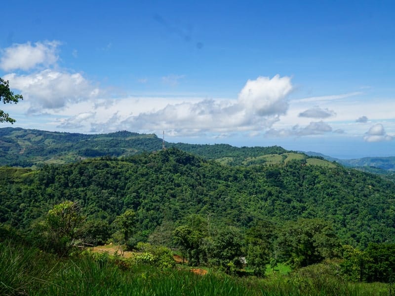 Land in Perez Zeledon