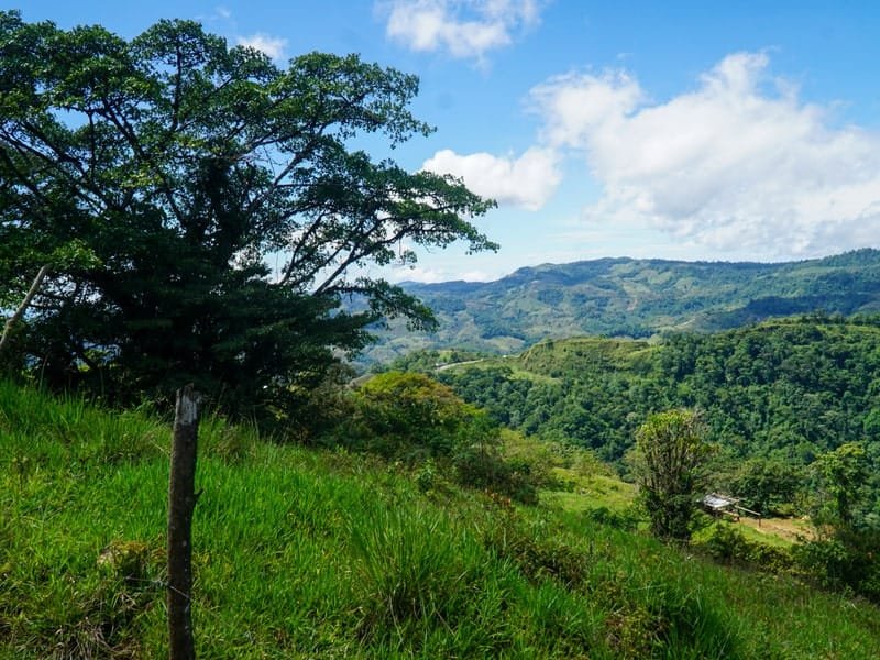 Land in Perez Zeledon