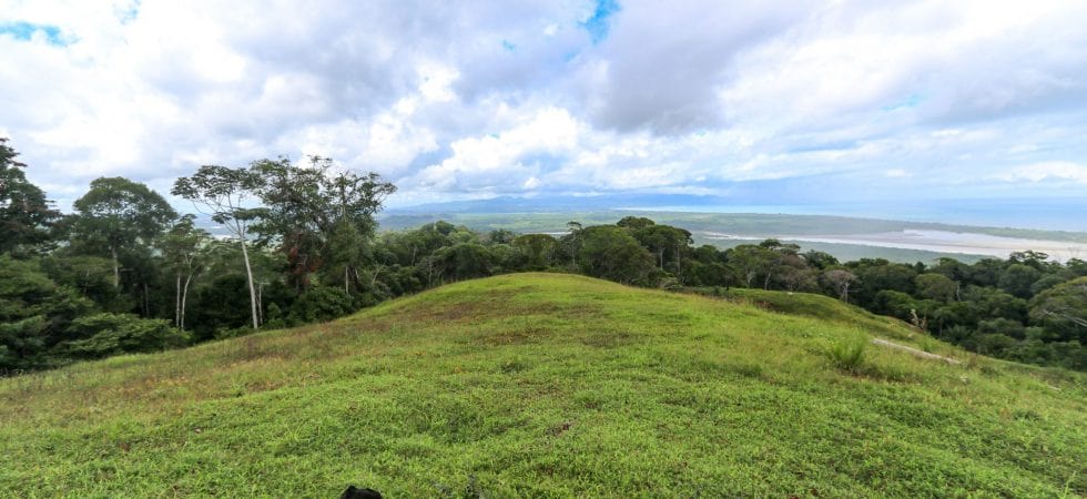 Development opportunity in Golfito