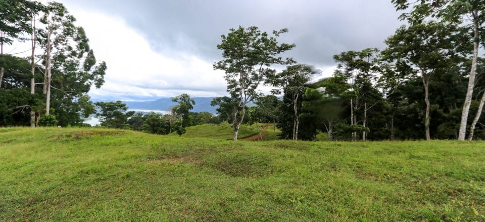 Development opportunity in Golfito