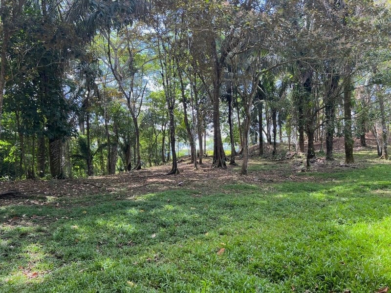 Land in Golfito for sale