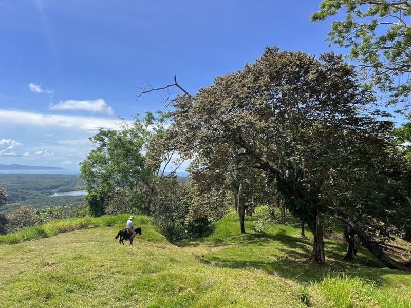 Land in Golfito for sale