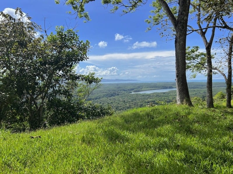 Land in Golfito for sale