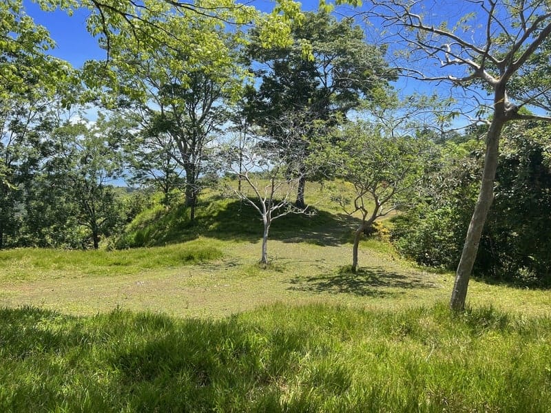 Land in Golfito for sale