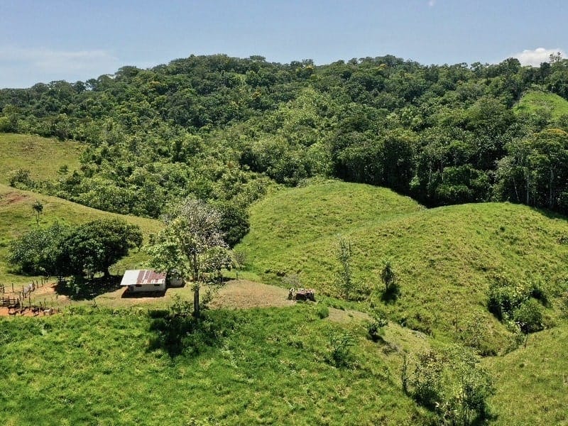 Land in Golfito for sale