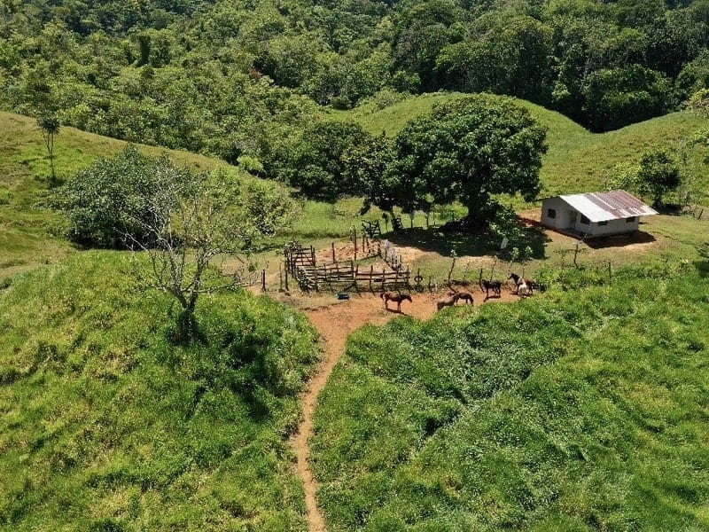 Land in Golfito for sale