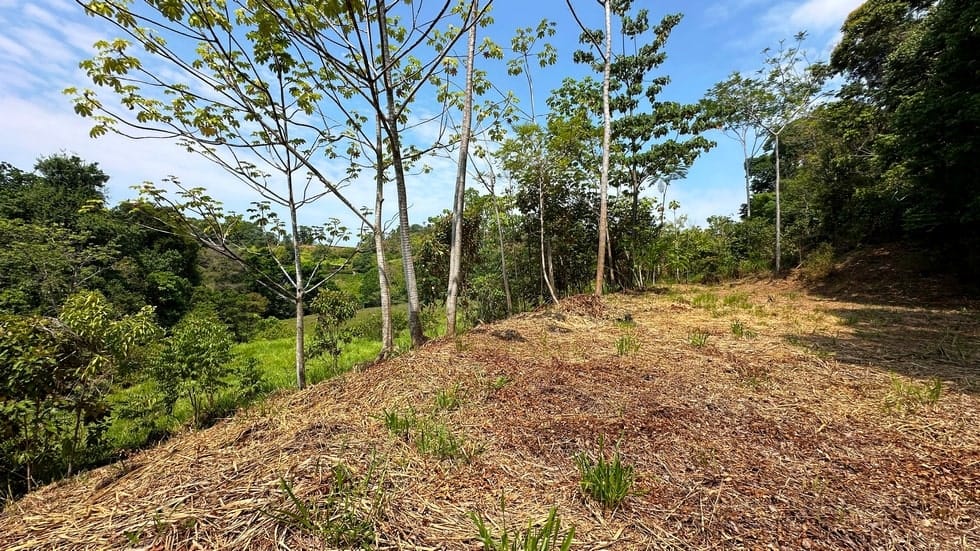 Ocean view property in Portalon