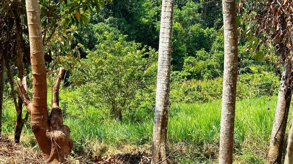 Ocean view property in Portalon