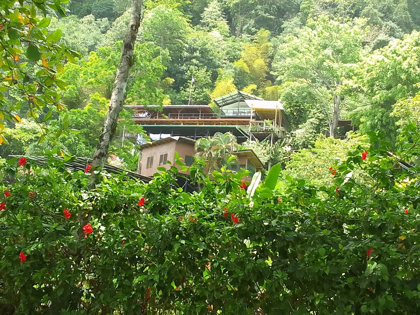 Ecolodge retreat for sale