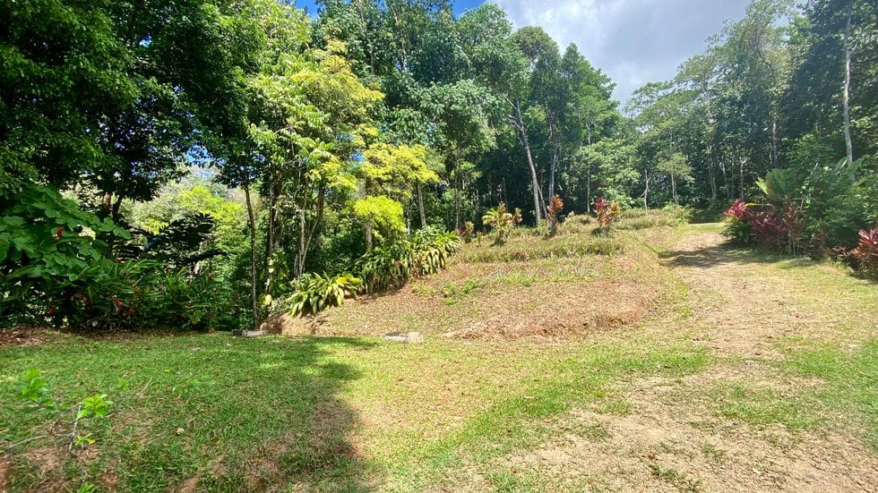 Ocean View Development Opportunity