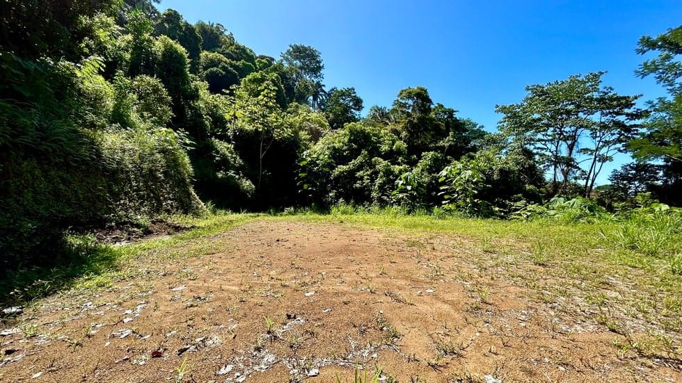 Ocean View property in Uvita