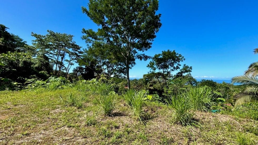 Ocean View property in Uvita