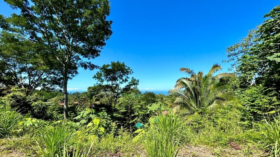 Ocean View property in Uvita