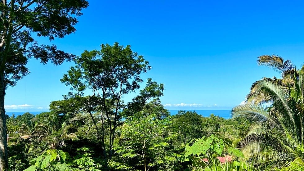 Ocean View property in Uvita