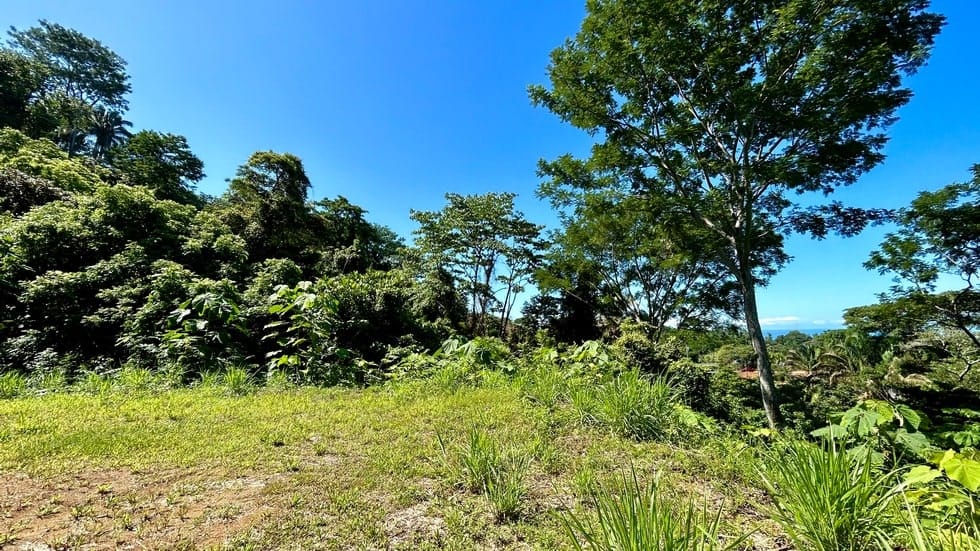 Ocean View property in Uvita