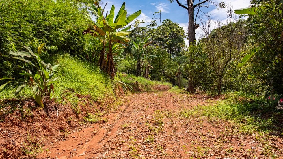 Ocean view property in Playa Dominical