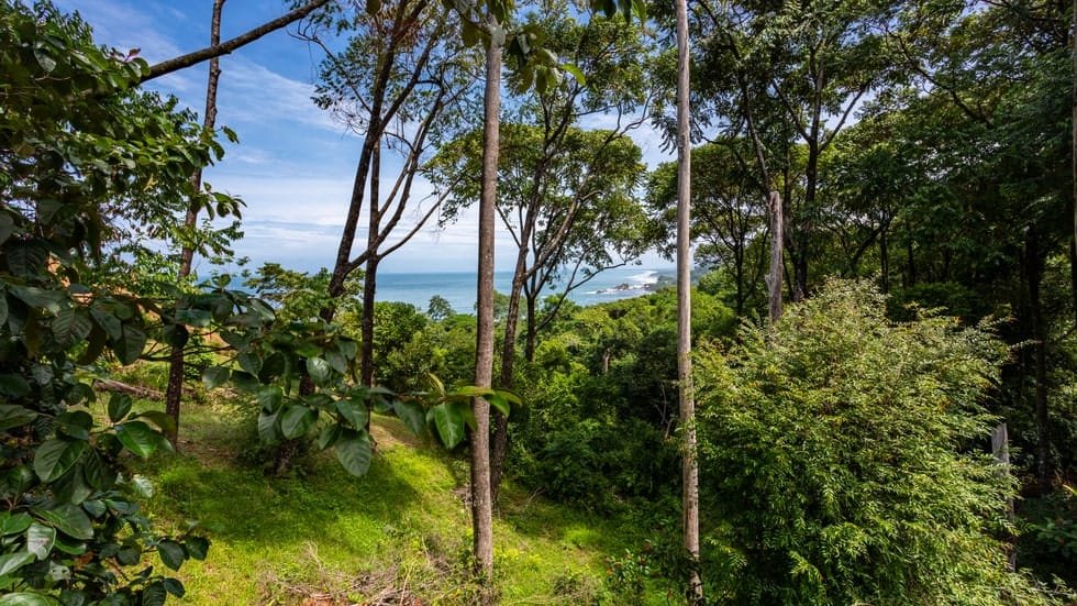 Ocean view property in Playa Dominical