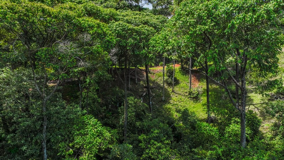 Ocean view property in Playa Dominical