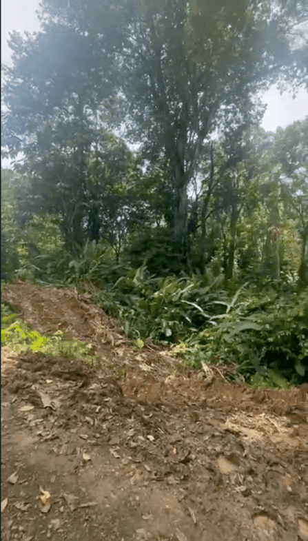 Development Opportunity in Costa Rica