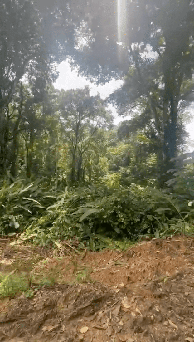 Development Opportunity in Costa Rica