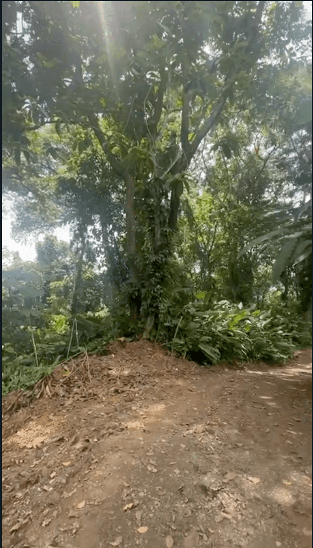 Development Opportunity in Costa Rica