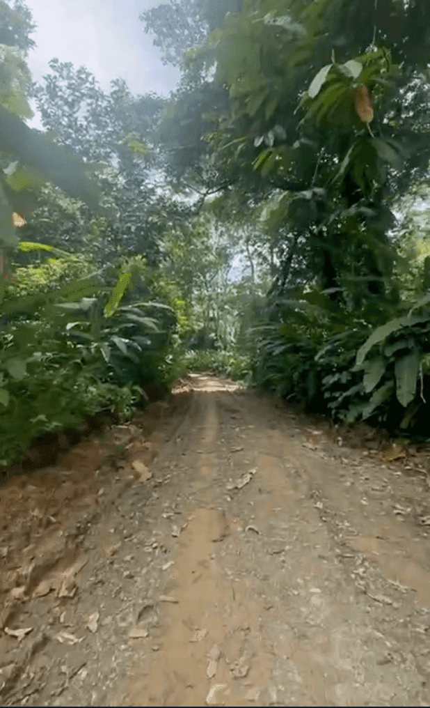 Development Opportunity in Costa Rica