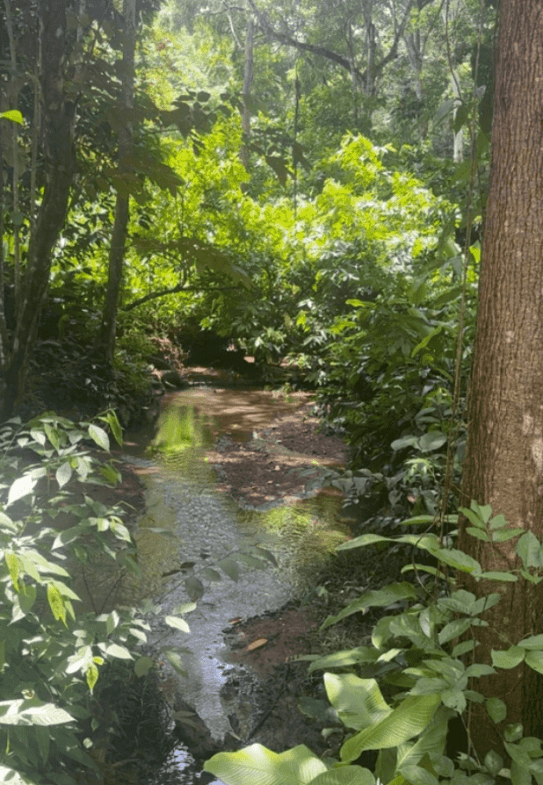 Development Opportunity in Costa Rica