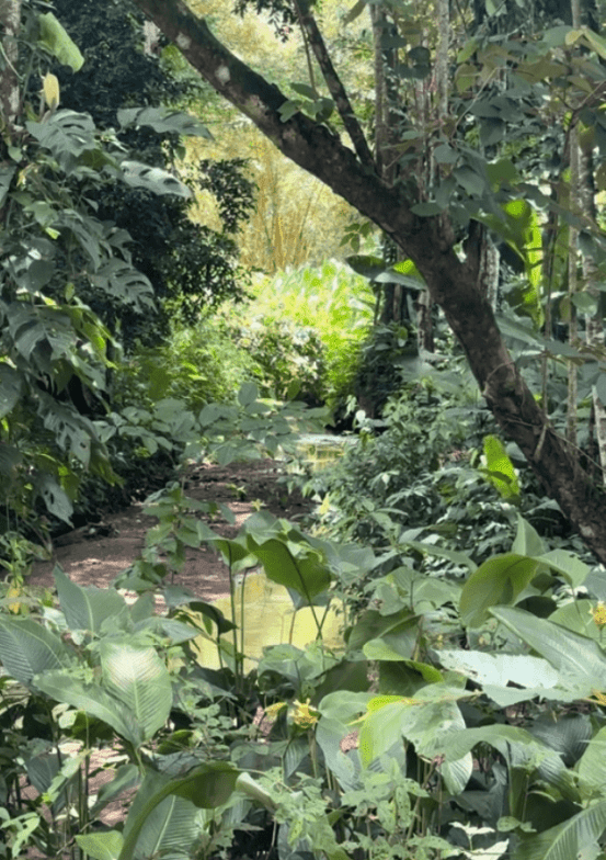 Development Opportunity in Costa Rica