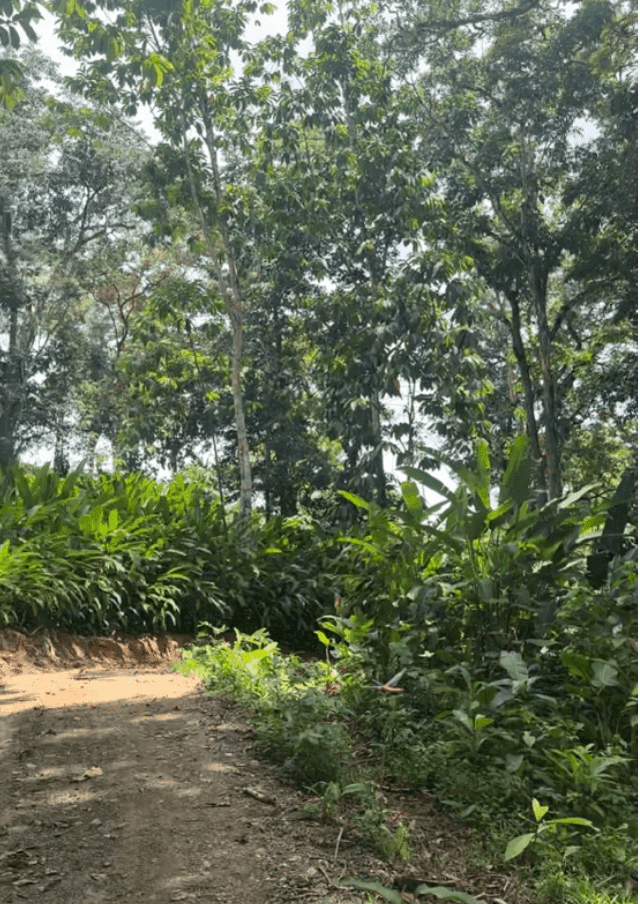 Development Opportunity in Costa Rica