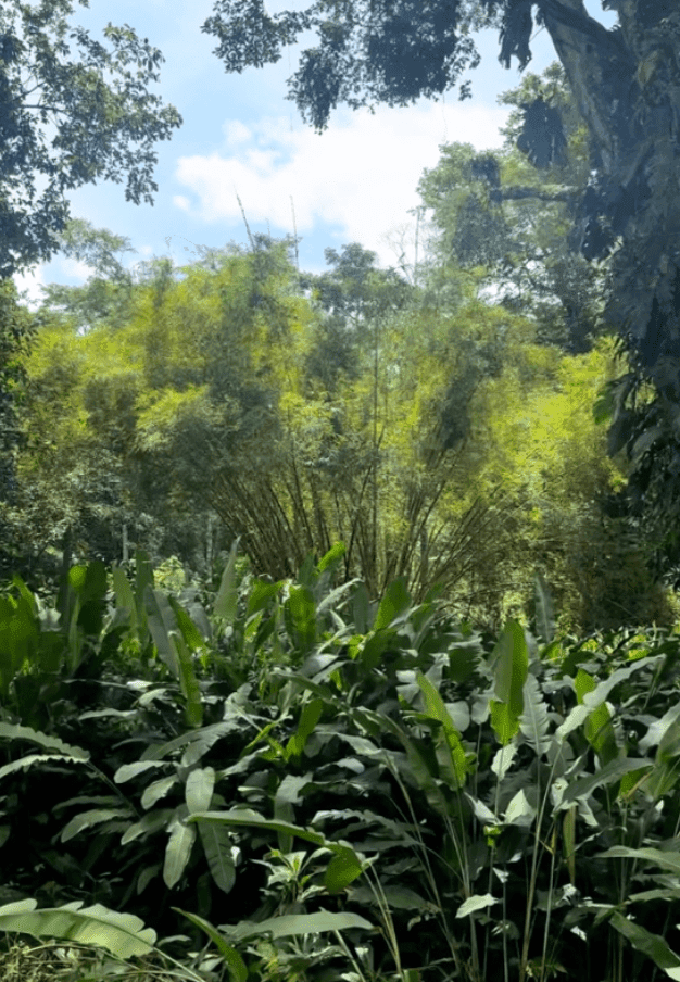 Development Opportunity in Costa Rica