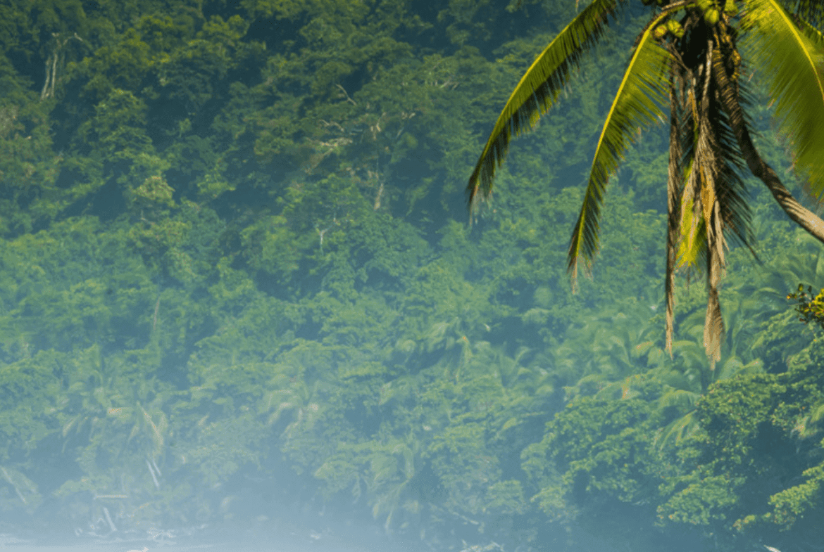 Ecolodge retreat for sale